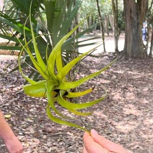 Meet your Posher, Monica